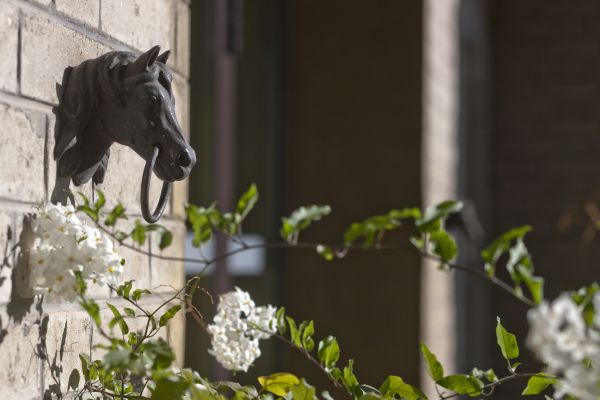 Boutique-Hotel Auberge Langenthal
